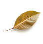 List