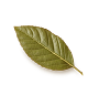 List